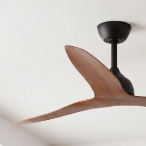 fanco-eco-style-dc-ceiling-fan-52-inch-black-motor-with-koa-blades-close-up