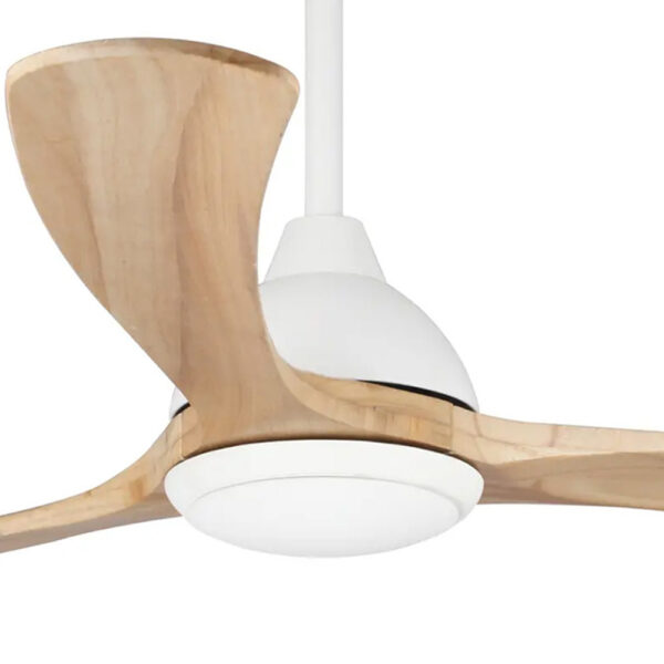 fanco-sanctuary-dc-ceiling-fan-with-cct-led-light-black-white-with-natural-blades-70-inch-motor