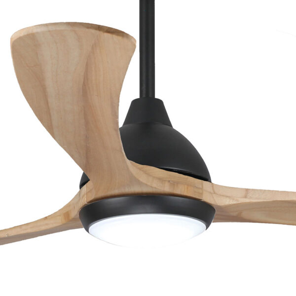 fanco-sanctuary-dc-ceiling-fan-with-cct-led-light-black-with-natural-blades-70-inch-close-up