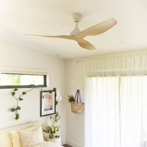 DC Motor Ceiling Fans