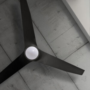 Ceiling Fans With Light