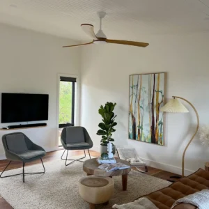 fanco-sanctuary-dc-ceiling-fan-white-with-teak-blades-70-inch-living-room